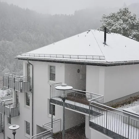Geraeumiges Mit Balkon In Willingen, Cleaning Included Apartment