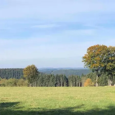 Geraeumiges Mit Balkon In Willingen, Cleaning Included * Willingen (Upland)