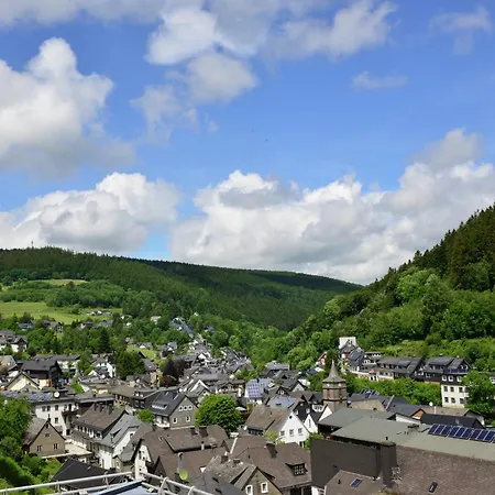 Geraeumiges Mit Balkon In Willingen, Cleaning Included *