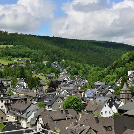 Geraeumiges Mit Balkon In Willingen, Cleaning Included Willingen (Upland)