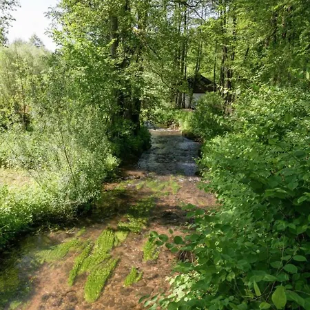 Apartment Geraeumiges Mit Balkon In Willingen, Cleaning Included Willingen (Upland)
